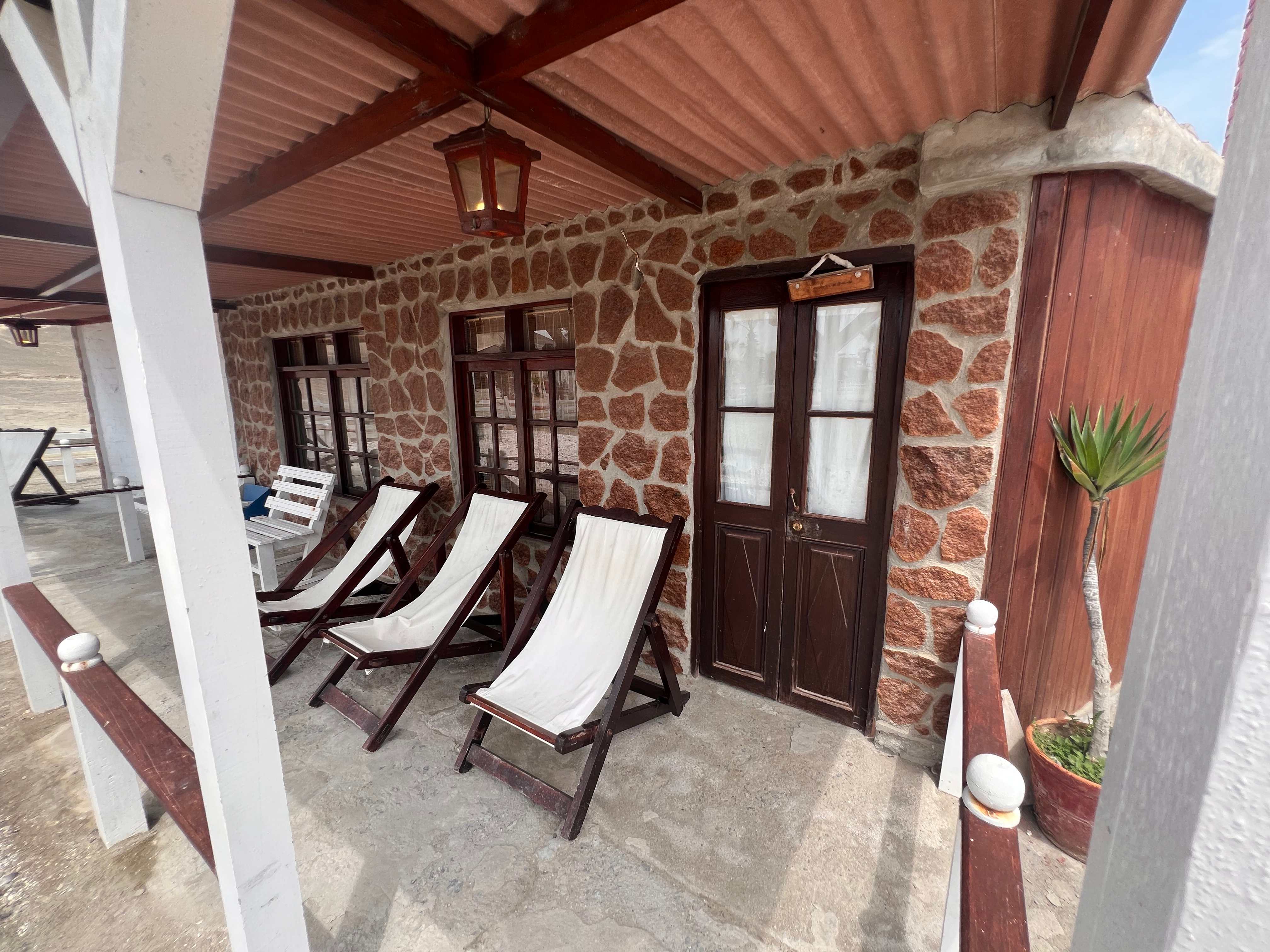 Palmeras - thumbnail 3