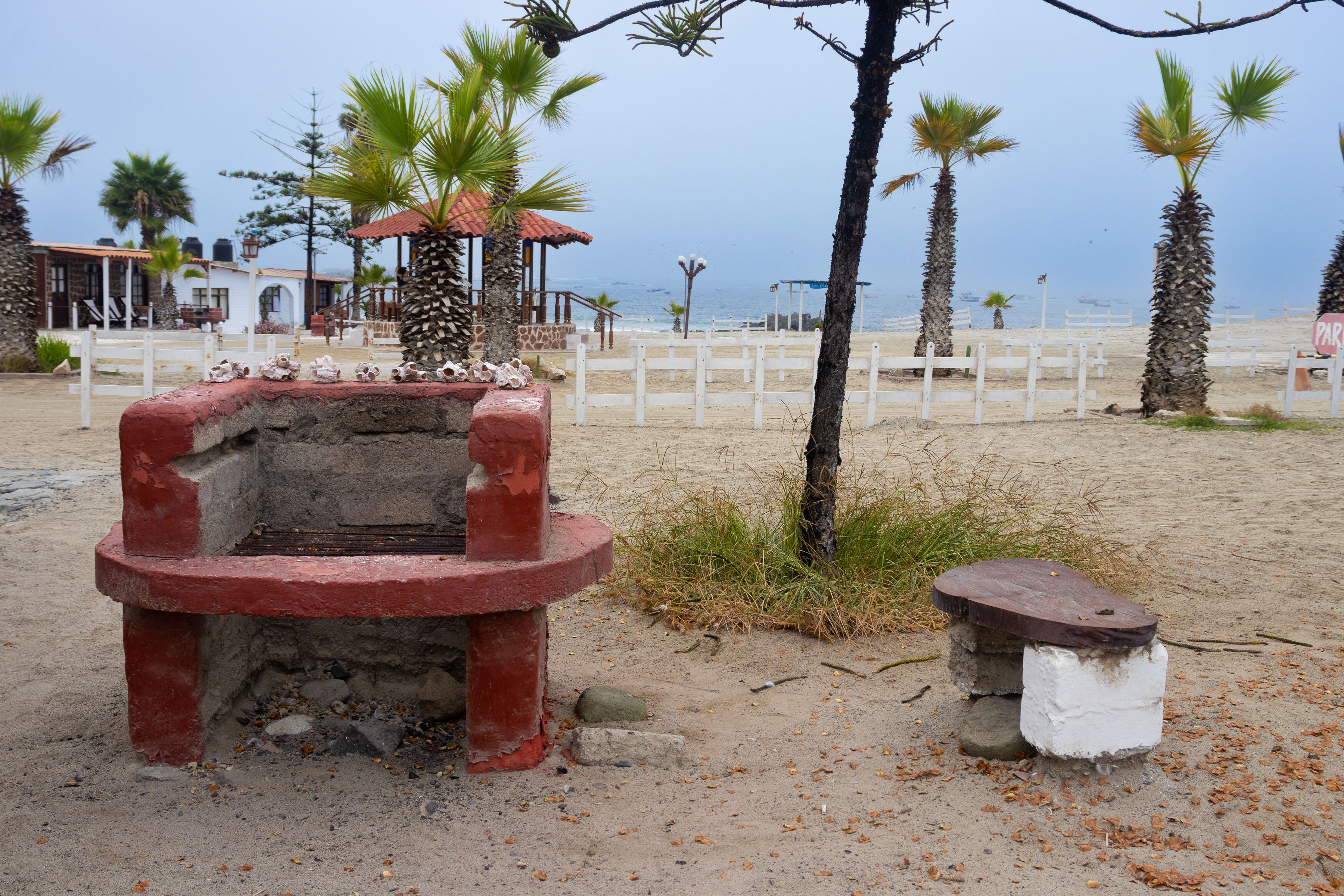 Palomas - thumbnail 4