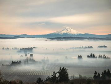 morgentåke i Oregon.