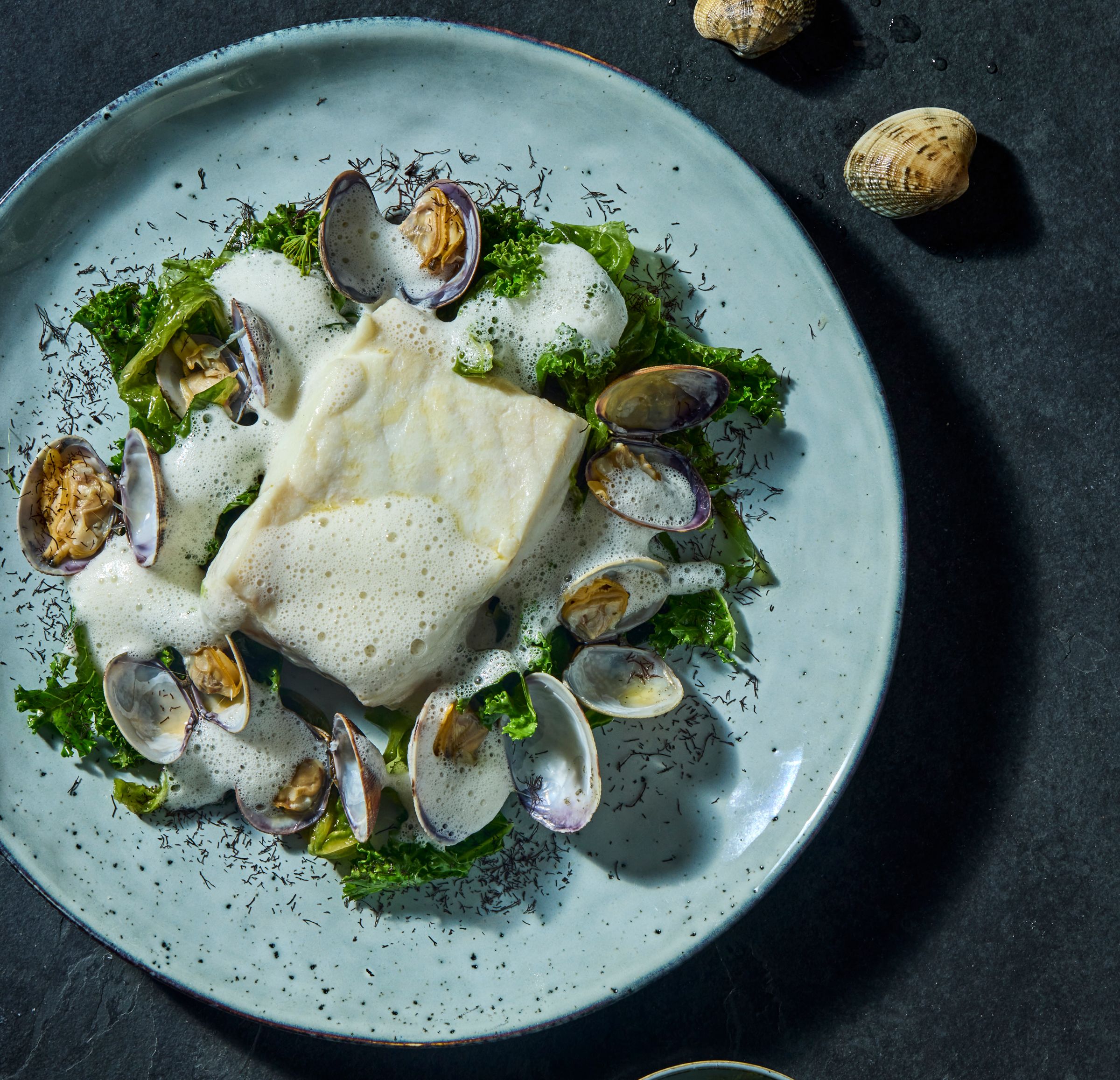 Tallerken med bakt kveite, kremet saus, vongoleskjell, trøffeltang og havsalat. 