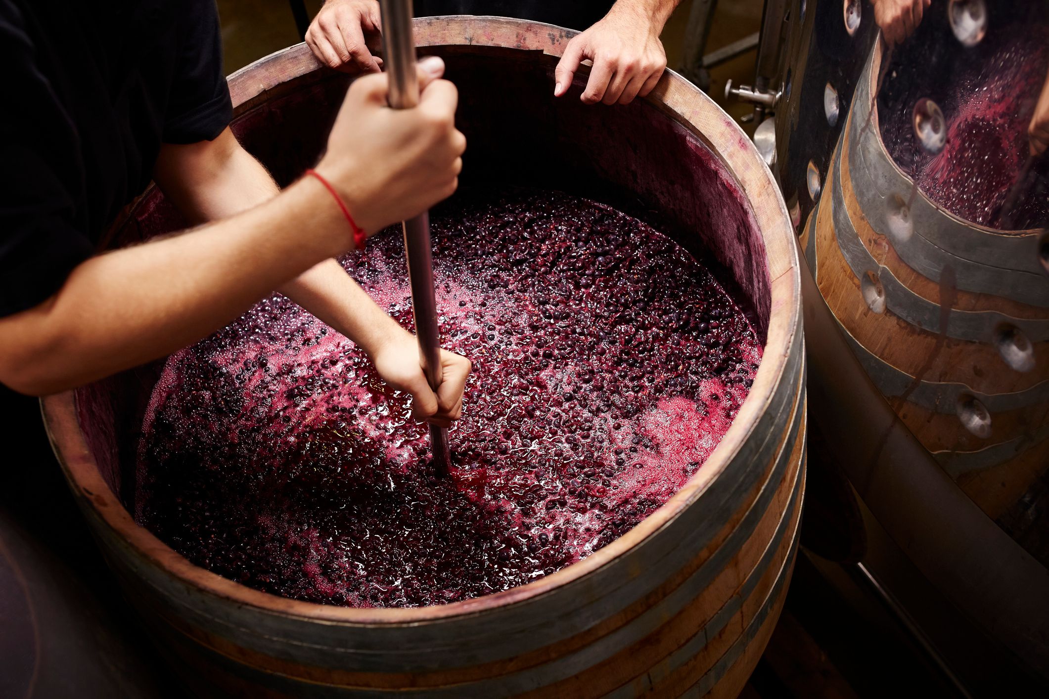 Vinmaker rører i et fat med vin under fermentering