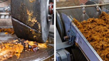 Knusing av agave, både gammel og moderne metode.
