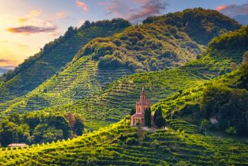 Vinmarker i Prosecco.