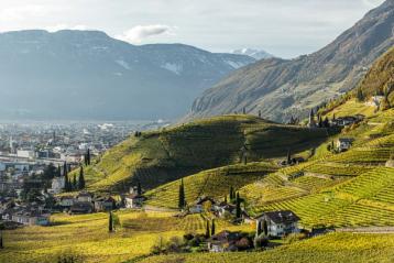 Utsikt over St. Magdalena åsen og Bolzano by.