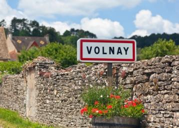 inngjerdet vinmark med skilt til Volnay