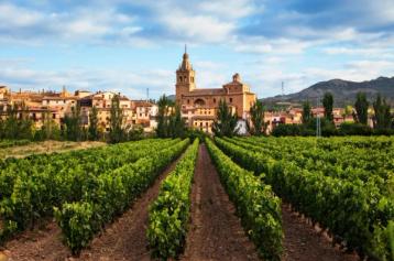 Vinmarker ved byen Brinas som ligger i Rioja Alta ved Ebro-elven.