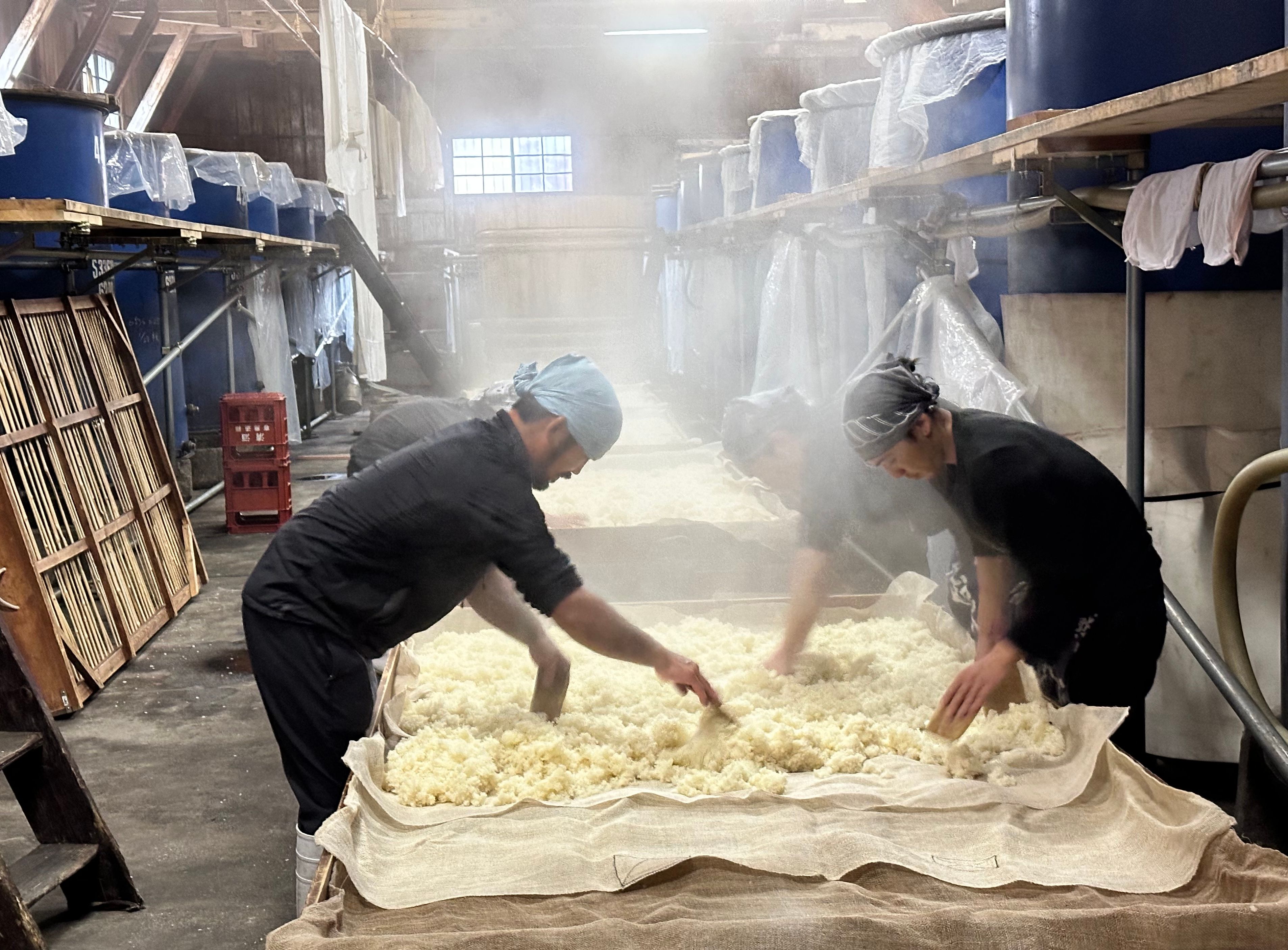 Nydampet sake-ris klargjøres før fermentering.