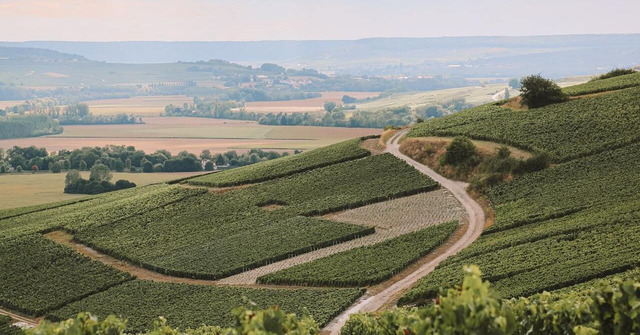 Vinmarker i Champagne