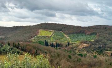 Vinmarker i Chianti, Italia