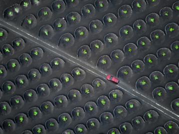 Dronebilde av vinmark på Lanzarote.