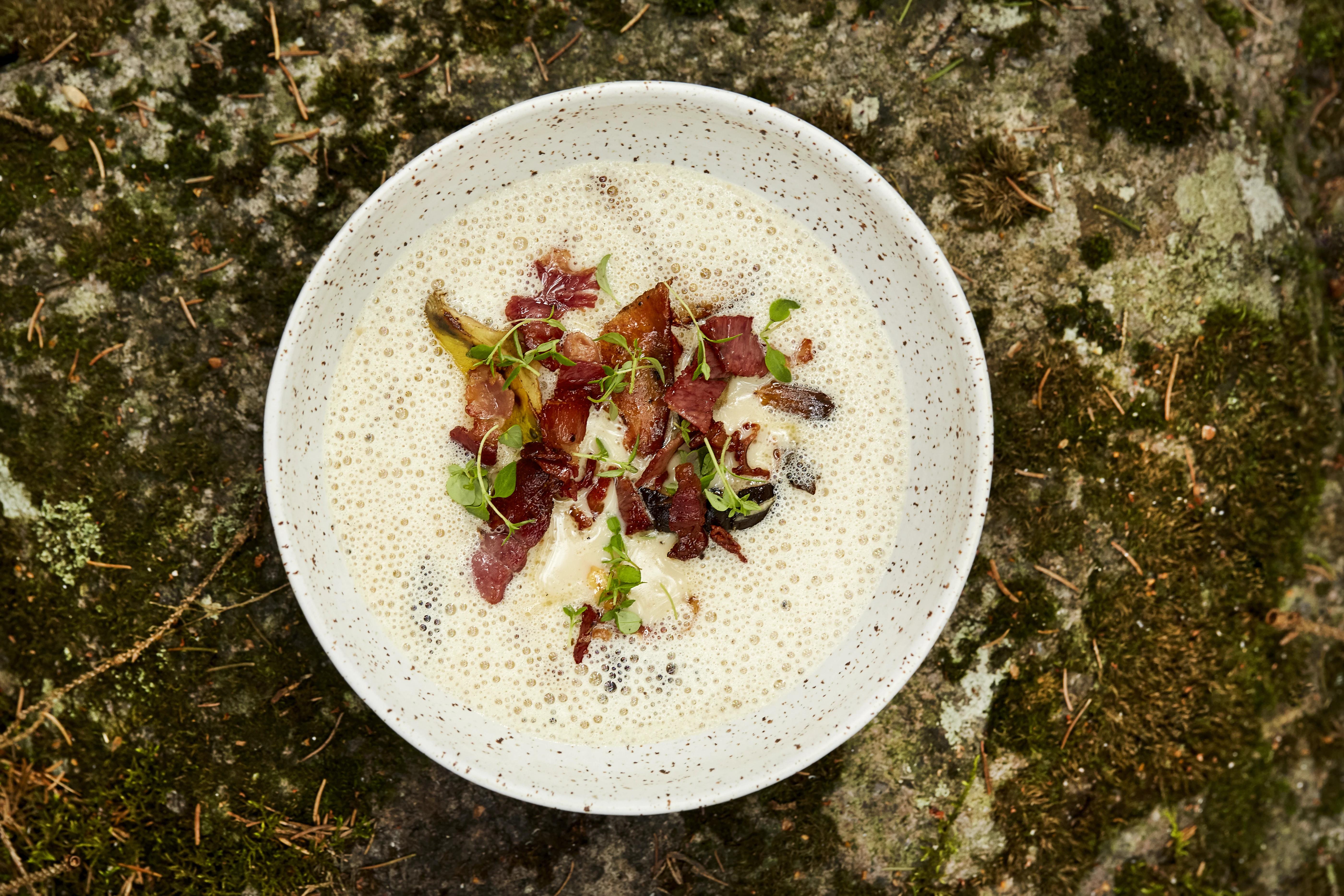 Skål med soppsuppe i skogen.