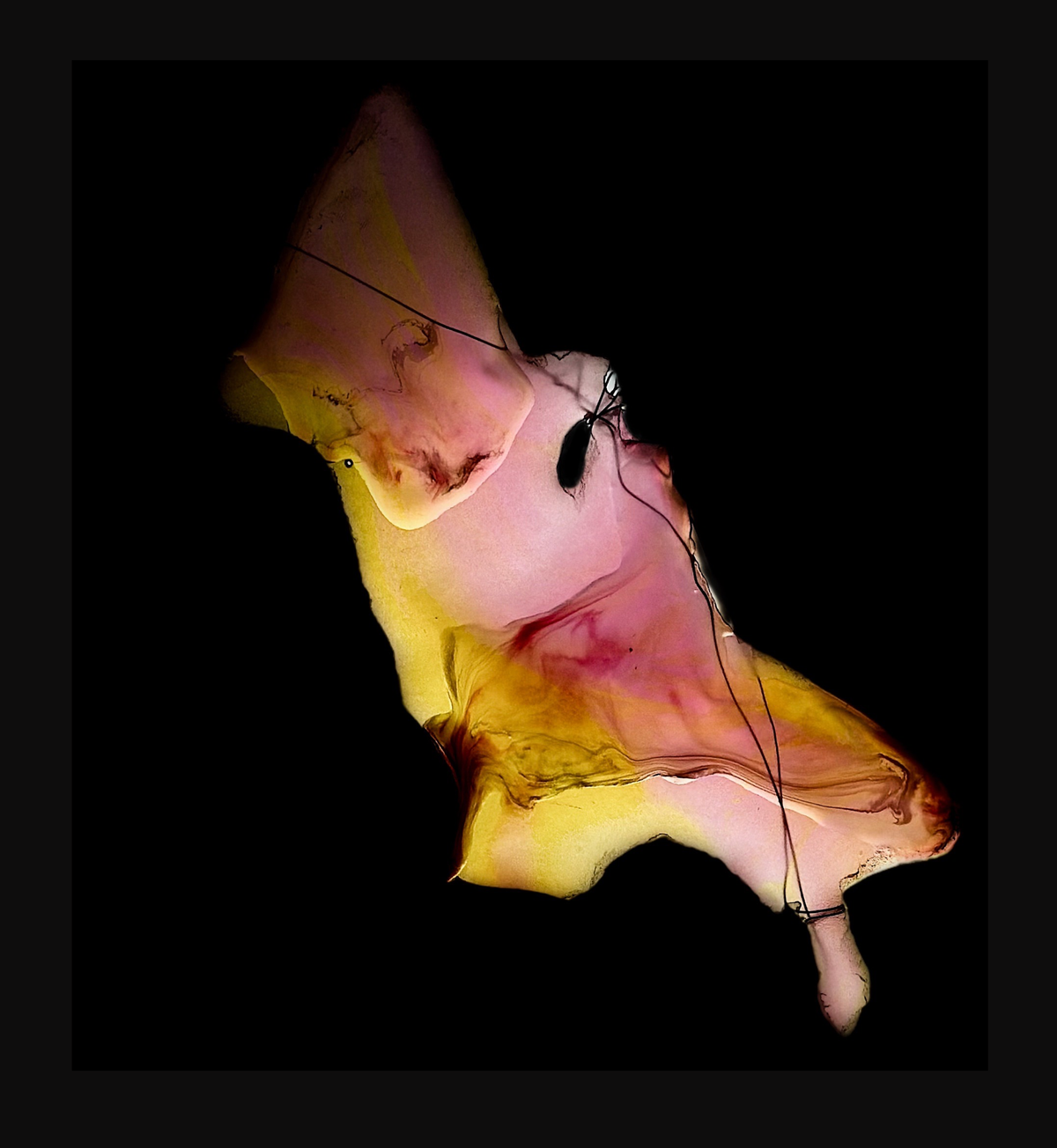 Sensory Echoes - Image 8