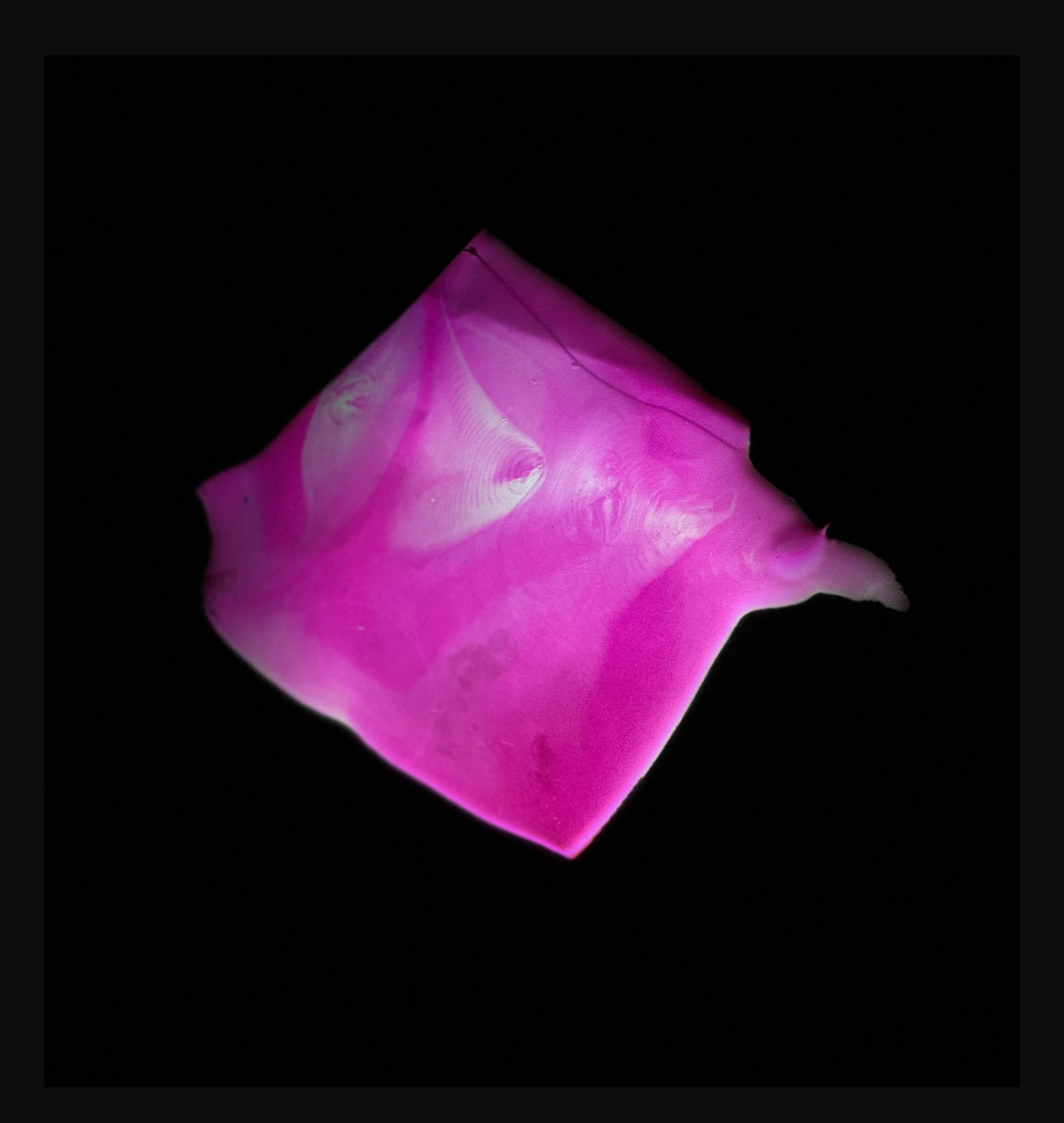 Sensory Echoes - Image 9