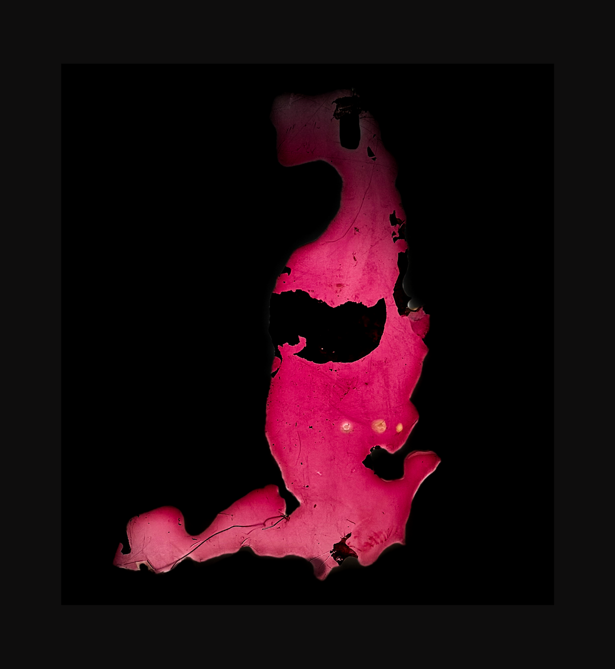 Sensory Echoes - Image 7