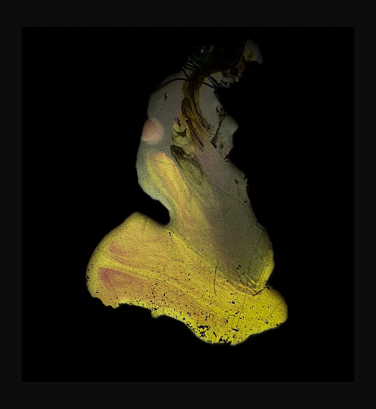 Sensory Echoes - Image 1