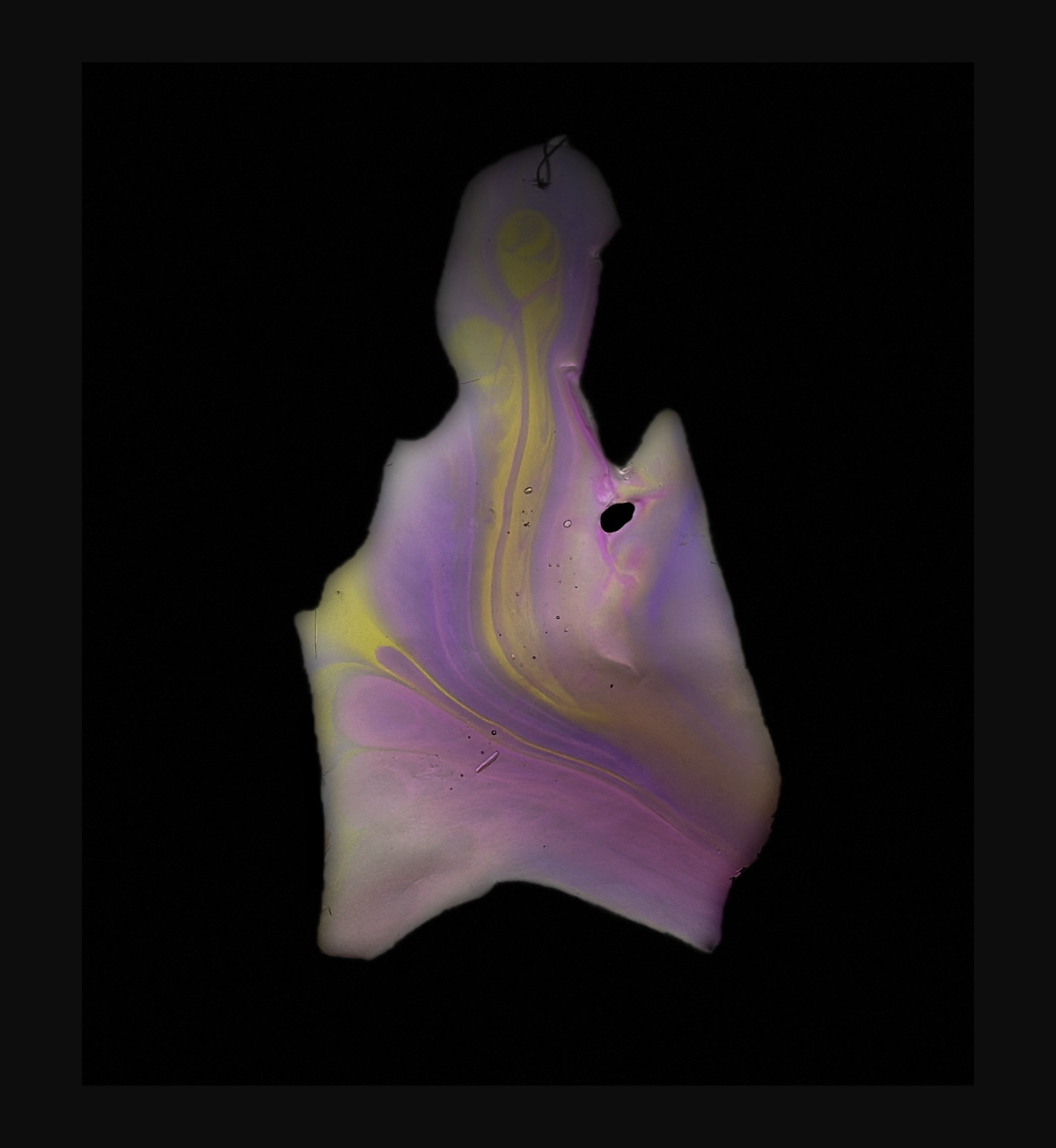 Sensory Echoes - Image 4