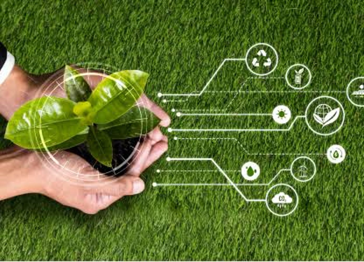 Eco-Friendly Practices in Textile Production