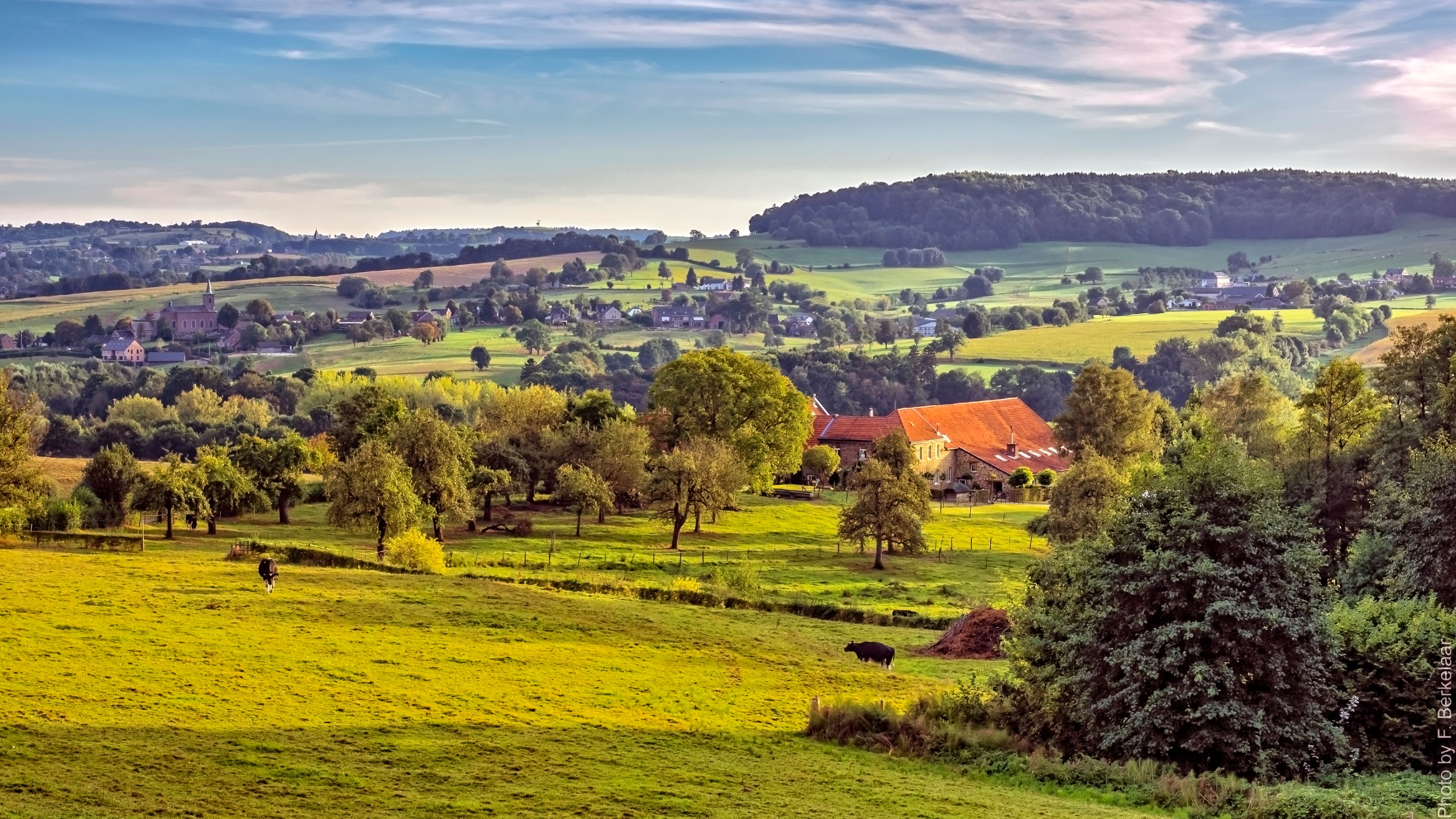Sfeervol Limburgs landschap met velden en heuvels tijdens zonsondergang, symbool voor de gastvrijheid van HAVN.