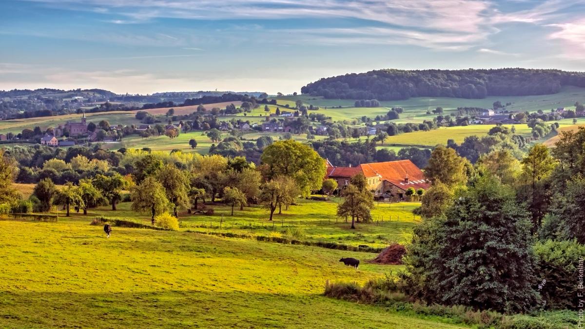 Sfeervol Limburgs landschap met velden en heuvels tijdens zonsondergang, symbool voor de gastvrijheid van HAVN.