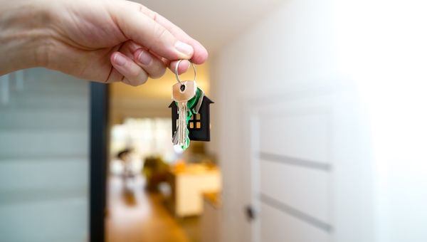 Planes de igualdad obligatorios: empresas con 50+ empleados tienen plazo hasta 2026