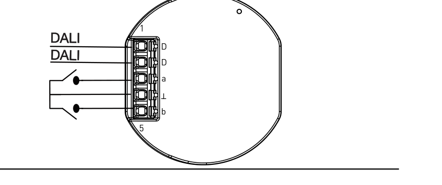 Connection example: DALI bus on terminals D/D, potential-free contacts a/⊥/b