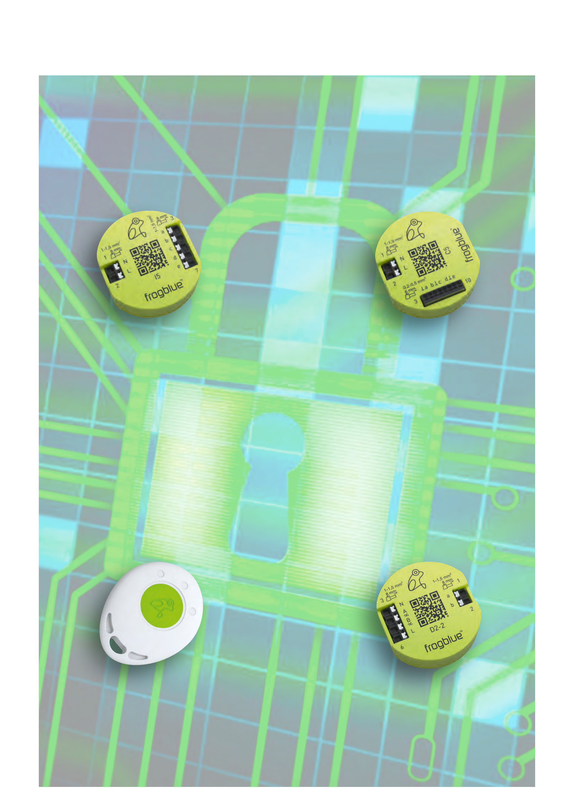 Encryption illustration: frog modules and frogKey around a glowing lock on a circuit board
