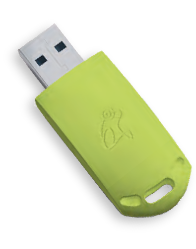 frogLink-USB Stick in frogblue-Grün
