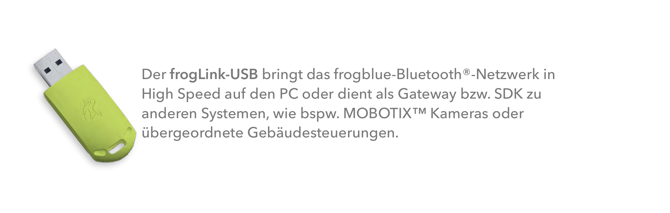 frogLink-USB Stick