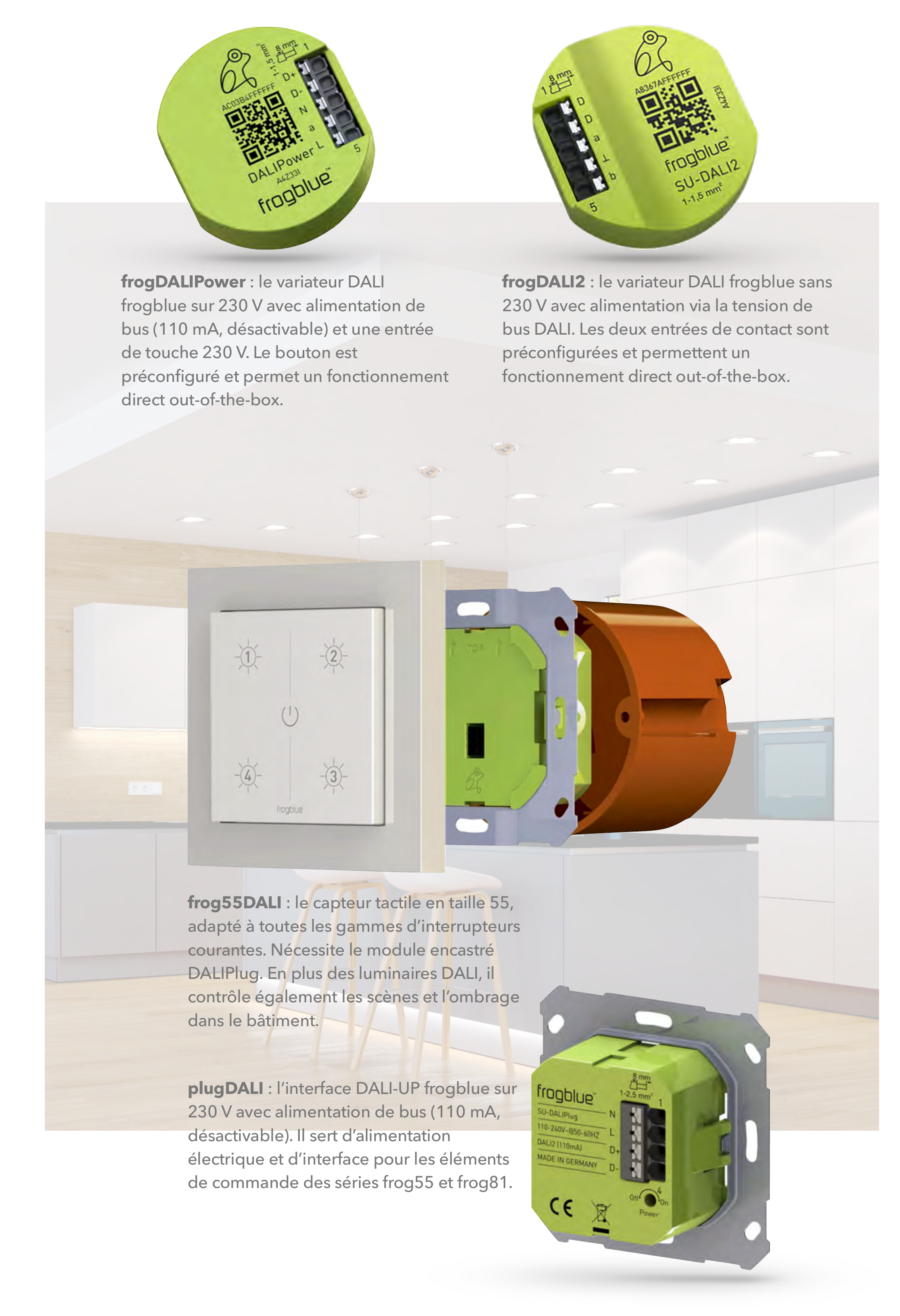 Produits DALI frogblue : frogDALIPower, frogDALI2, frog55DALI et plugDALI