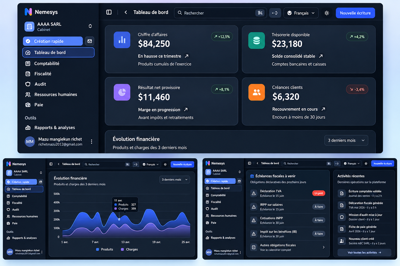 Tableau de bord NEMESYS avec les principaux indicateurs financiers d'une entreprise