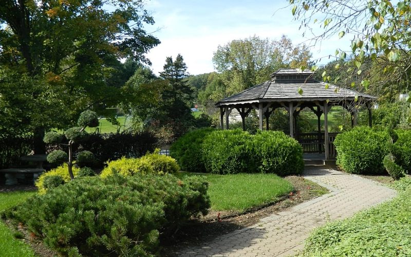 Detailed Review: Alpha Manor Nursing Home, Detroit, Michigan