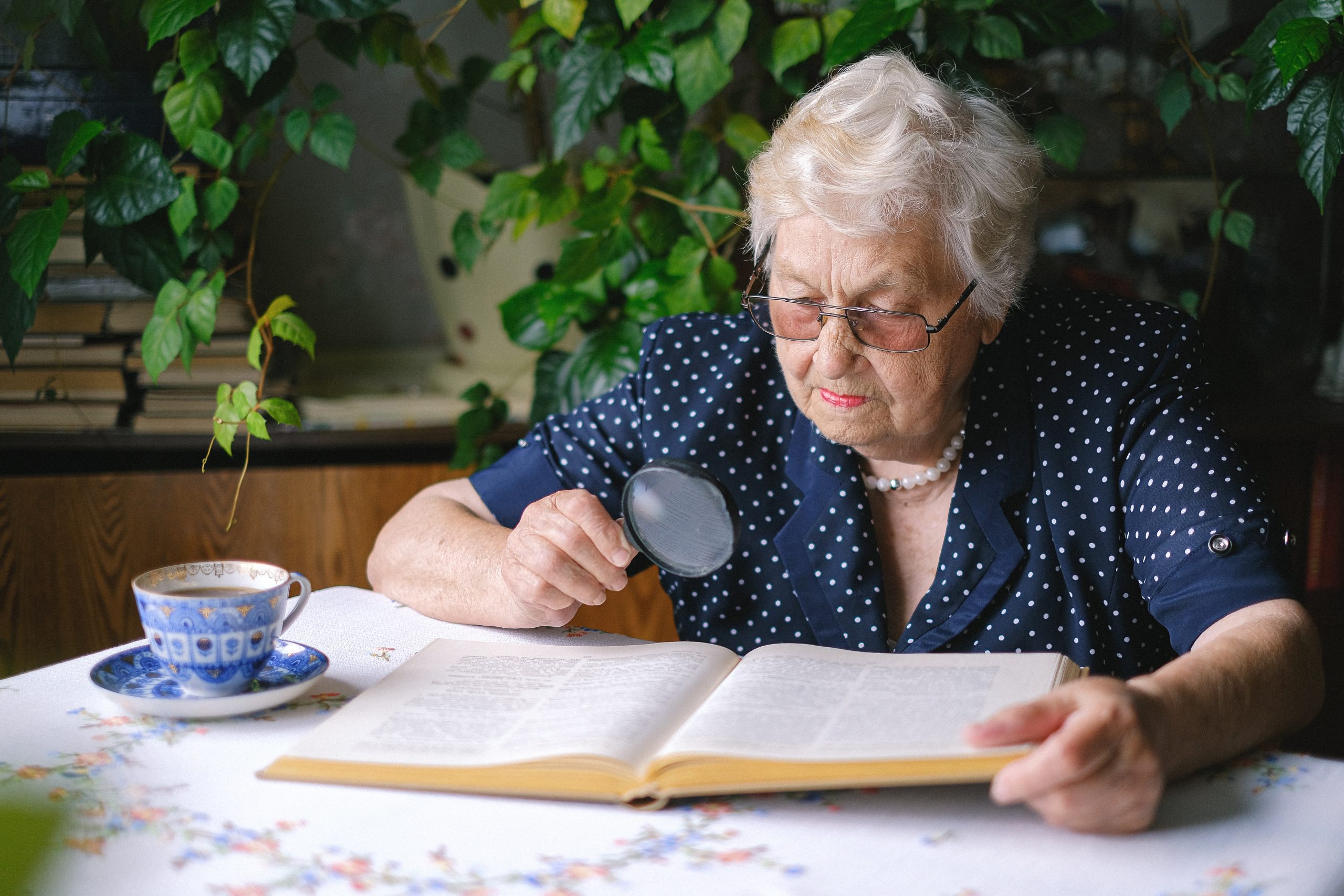Hobby Ideas for Seniors