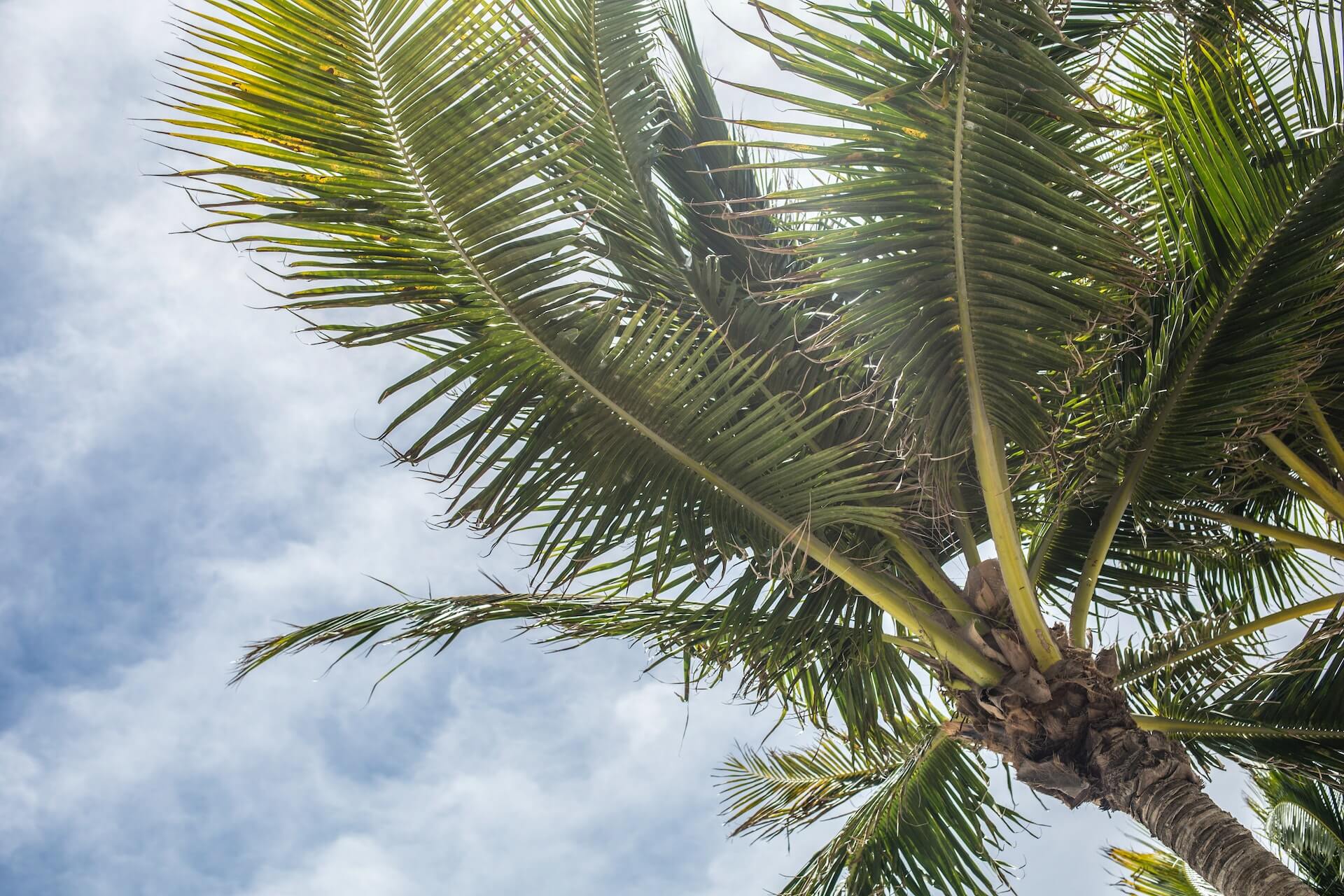 Top 5 Senior Care Facilities in Florida