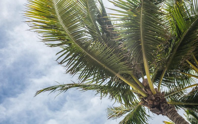 Top 5 Senior Care Facilities in Florida