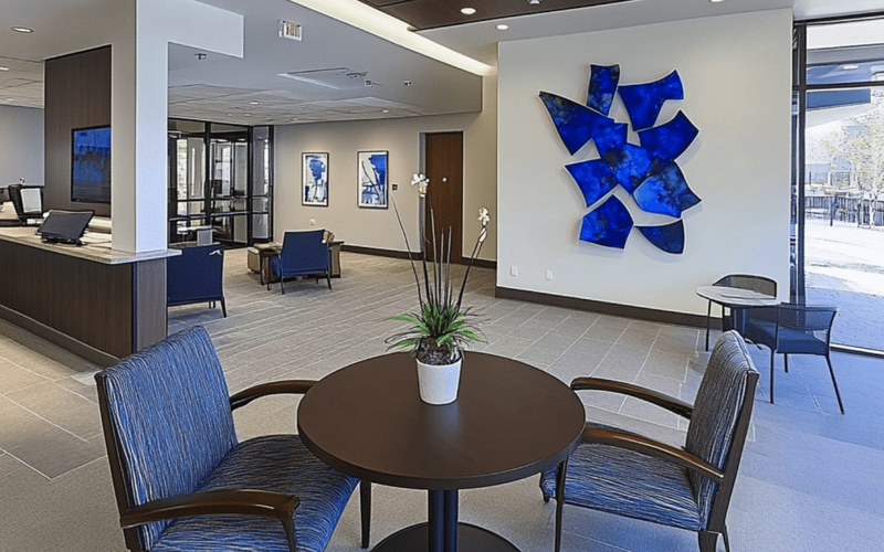 Wellbridge of Novi: A Comprehensive Review