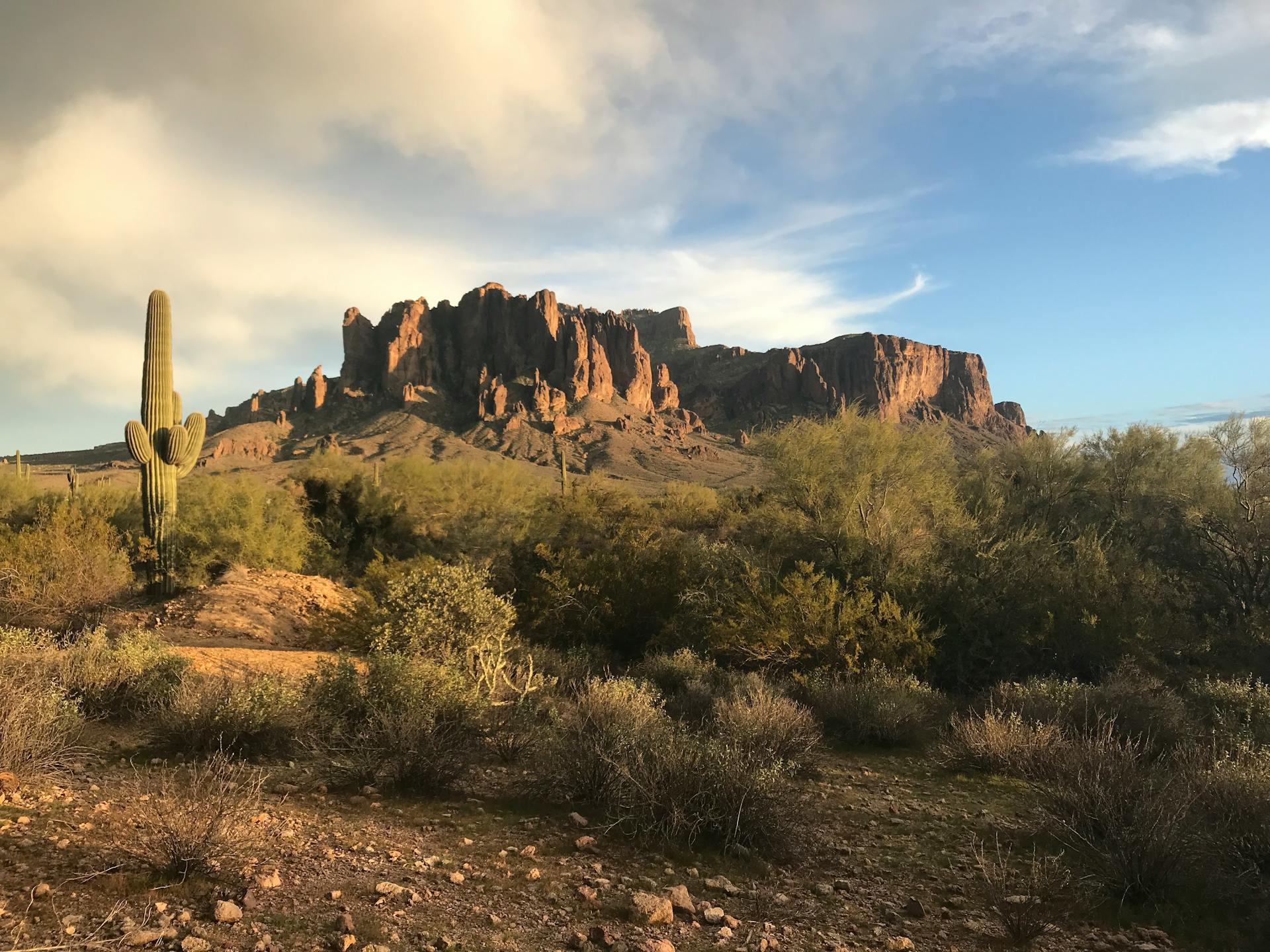 2024 Guide to Assisted Living in Phoenix, Arizona