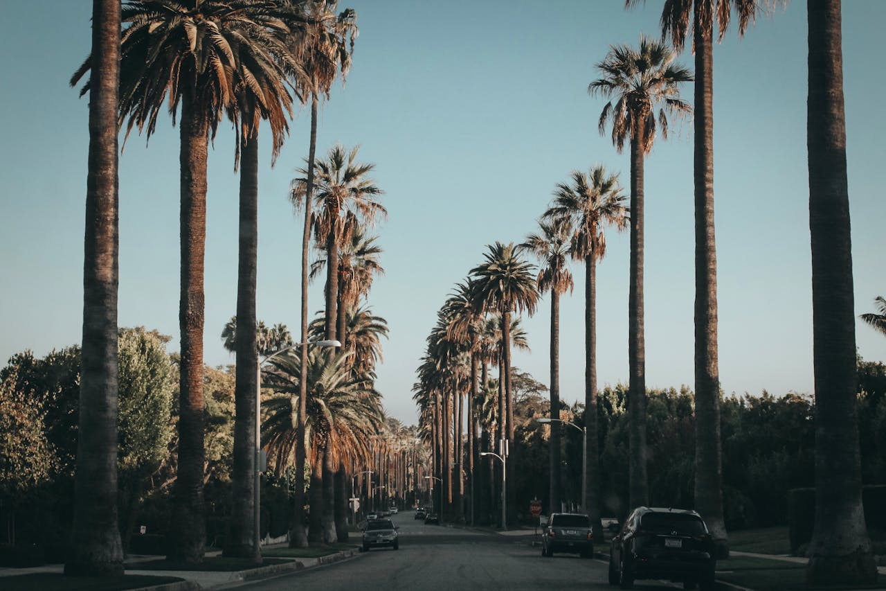 Friendship Village: A Complete Guide to Senior Living North Hollywood