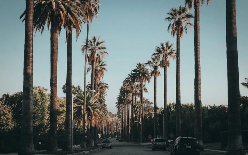 Friendship Village: A Complete Guide to Senior Living North Hollywood