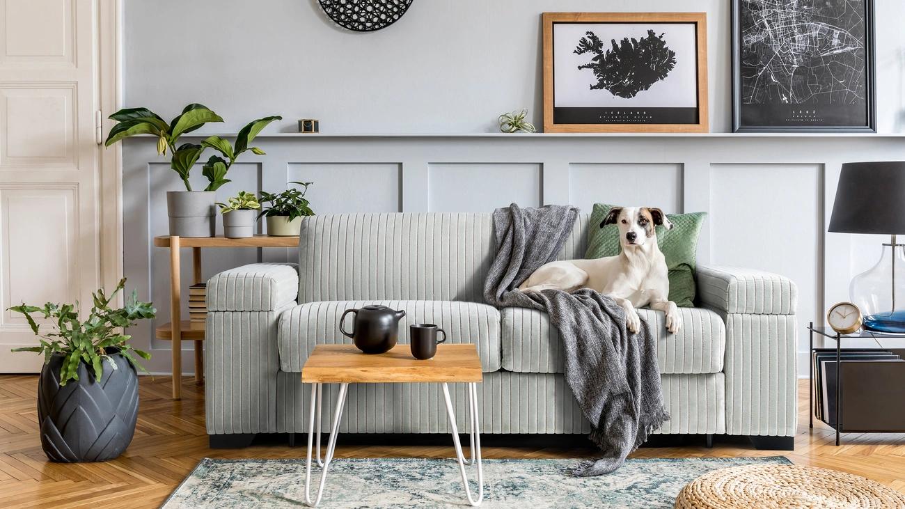 Creating a Comfortable Living Space for Seniors: Tips and Tricks