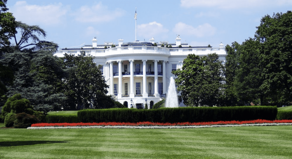 Understanding Government Benefits for Seniors Over 65