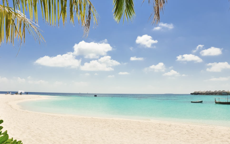 Essential Guide to Preventing Dehydration in Seniors During Warm Weather