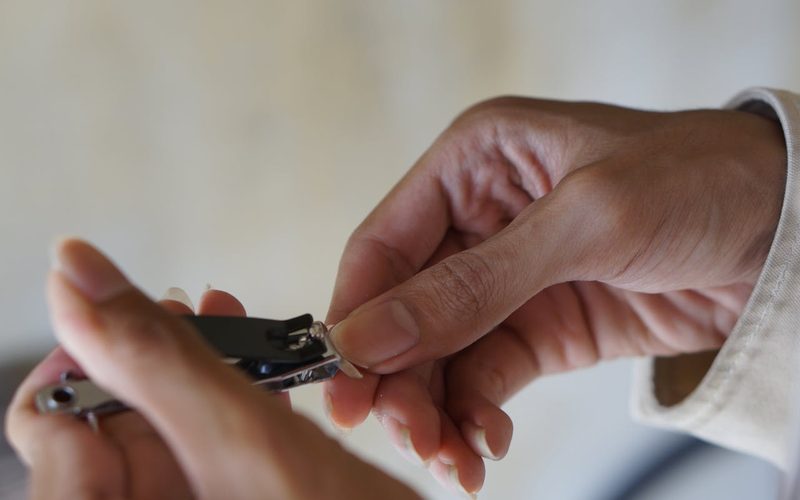 8 Top-Rated Nail Clippers for Elderly Hands (Expert-Tested)