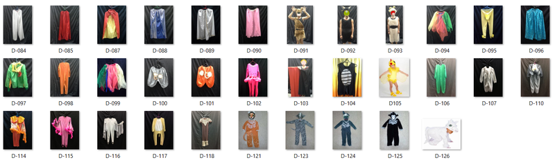 Animal Costume and Cloak 2