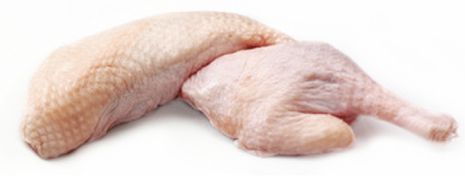 Half / Quarter Duck