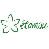 etamine