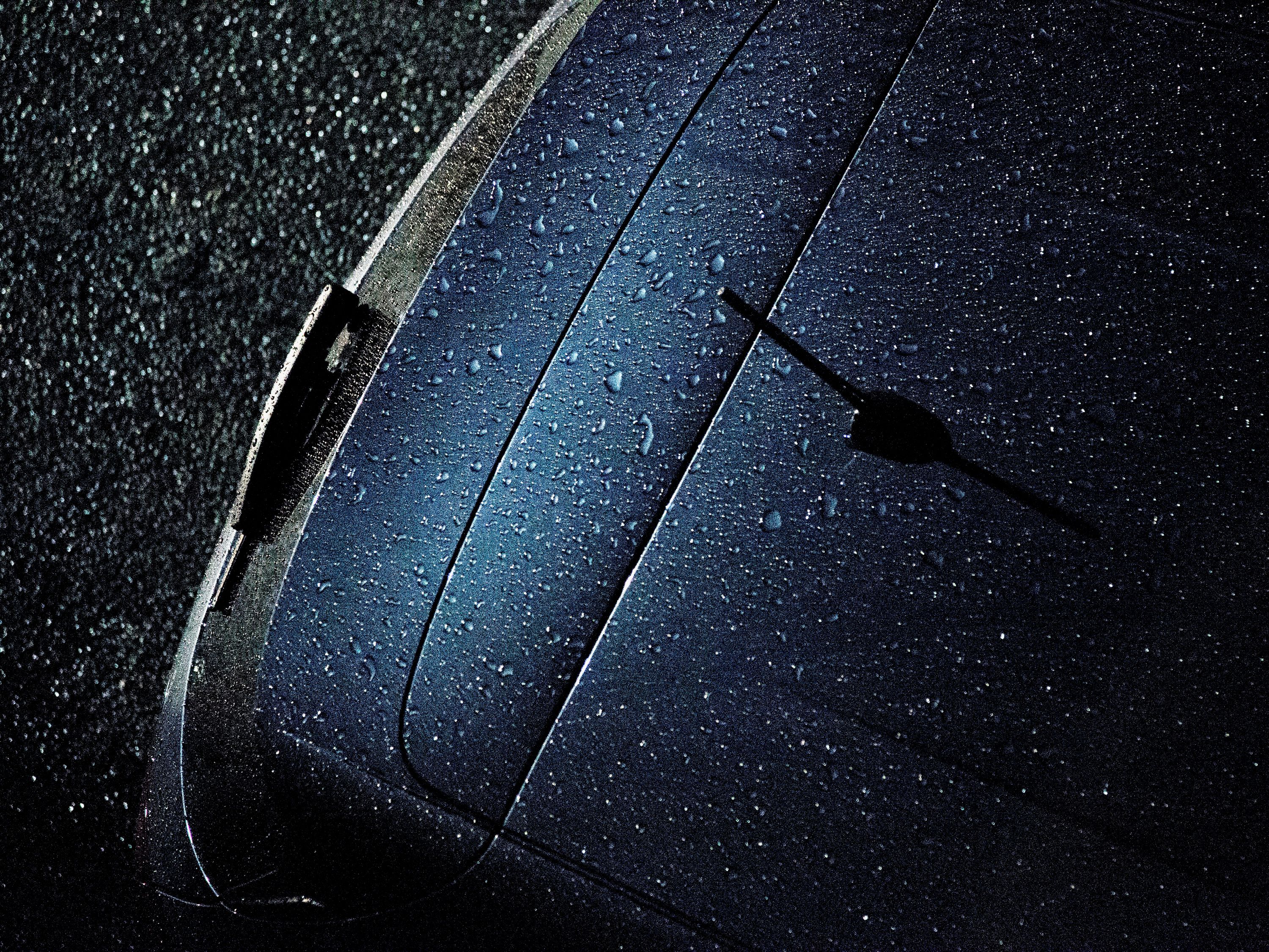 Anne-Sophie Soudoplatoff