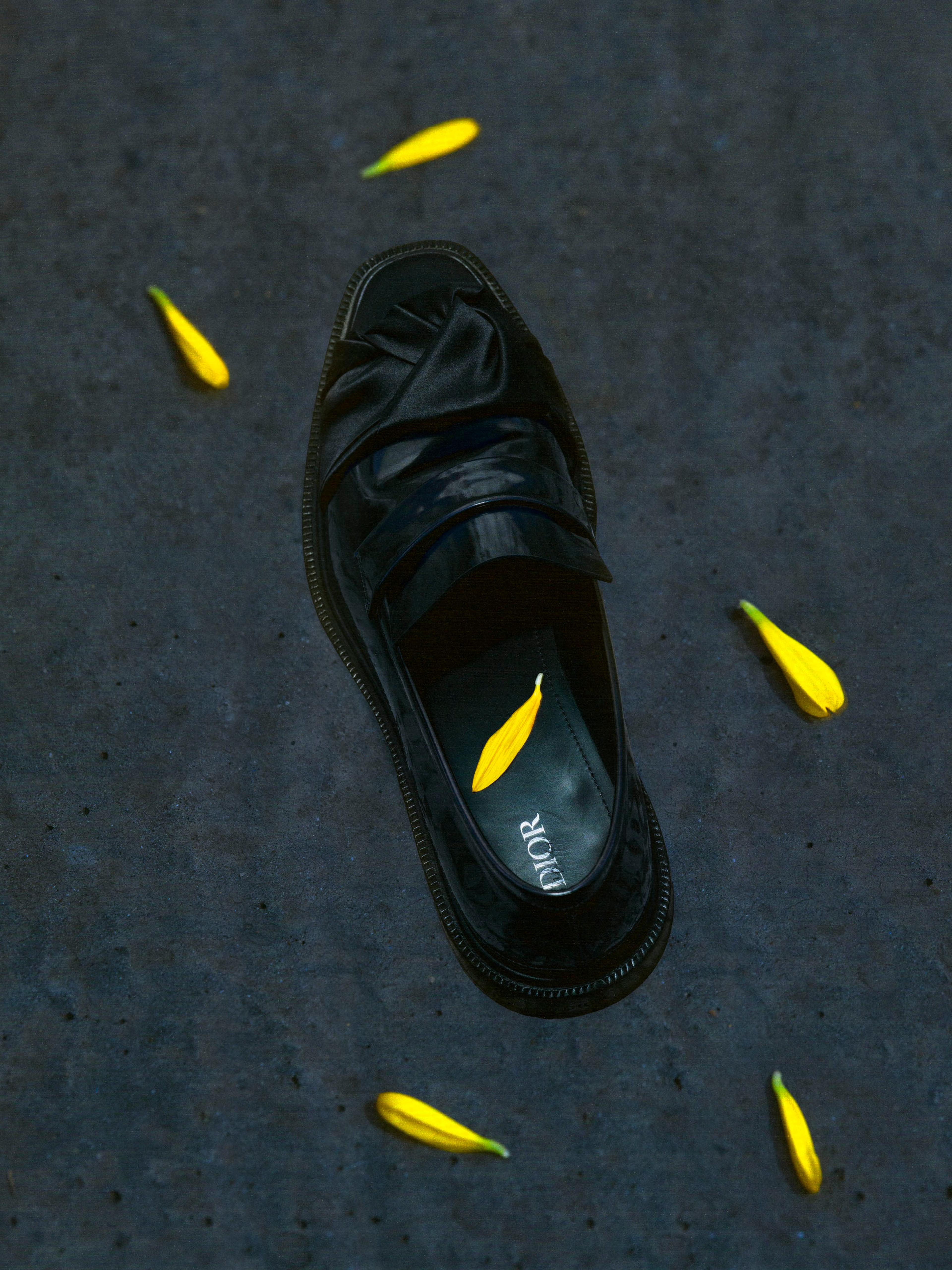 Anne-Sophie Soudoplatoff