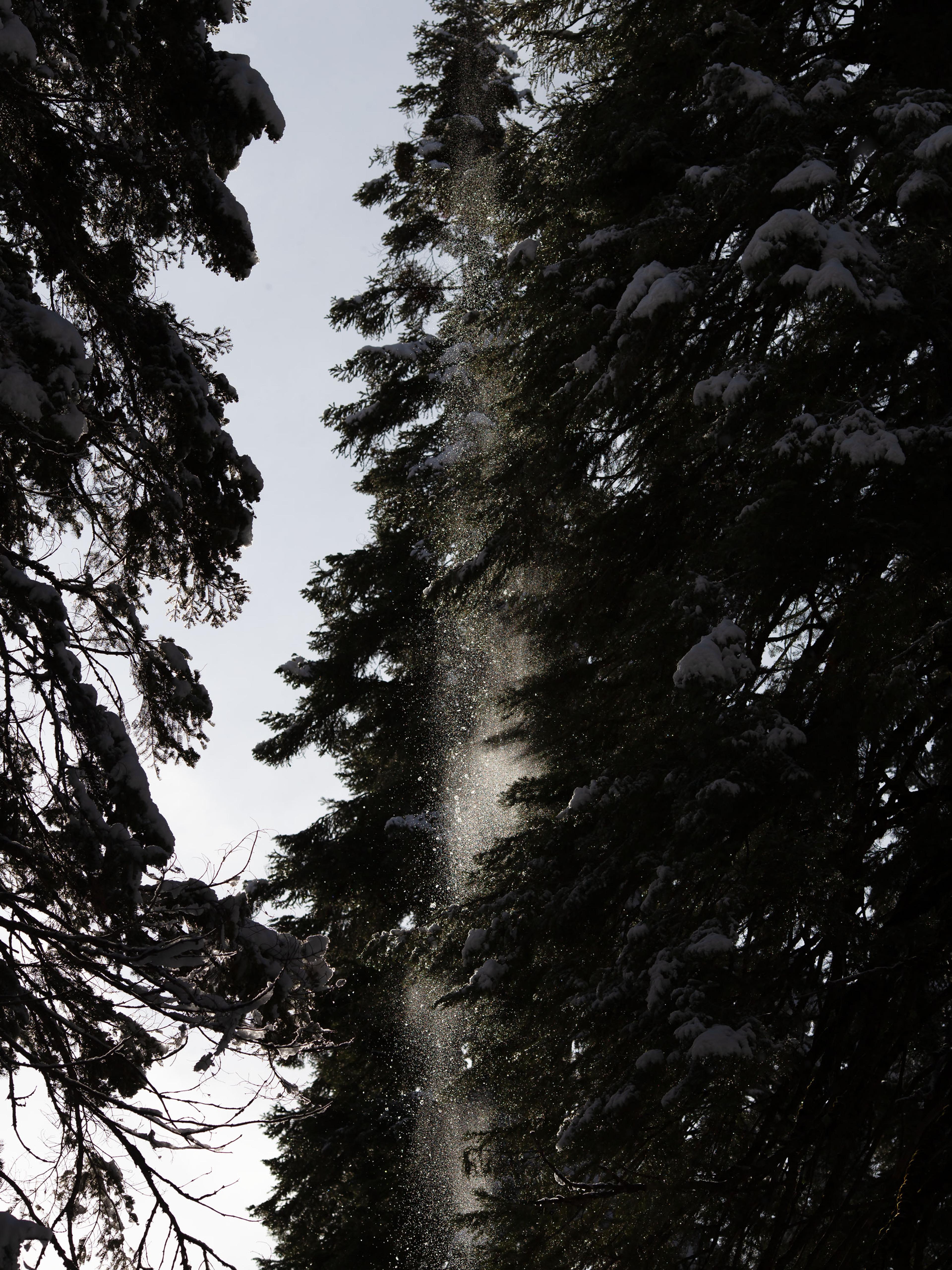 Anne-Sophie Soudoplatoff