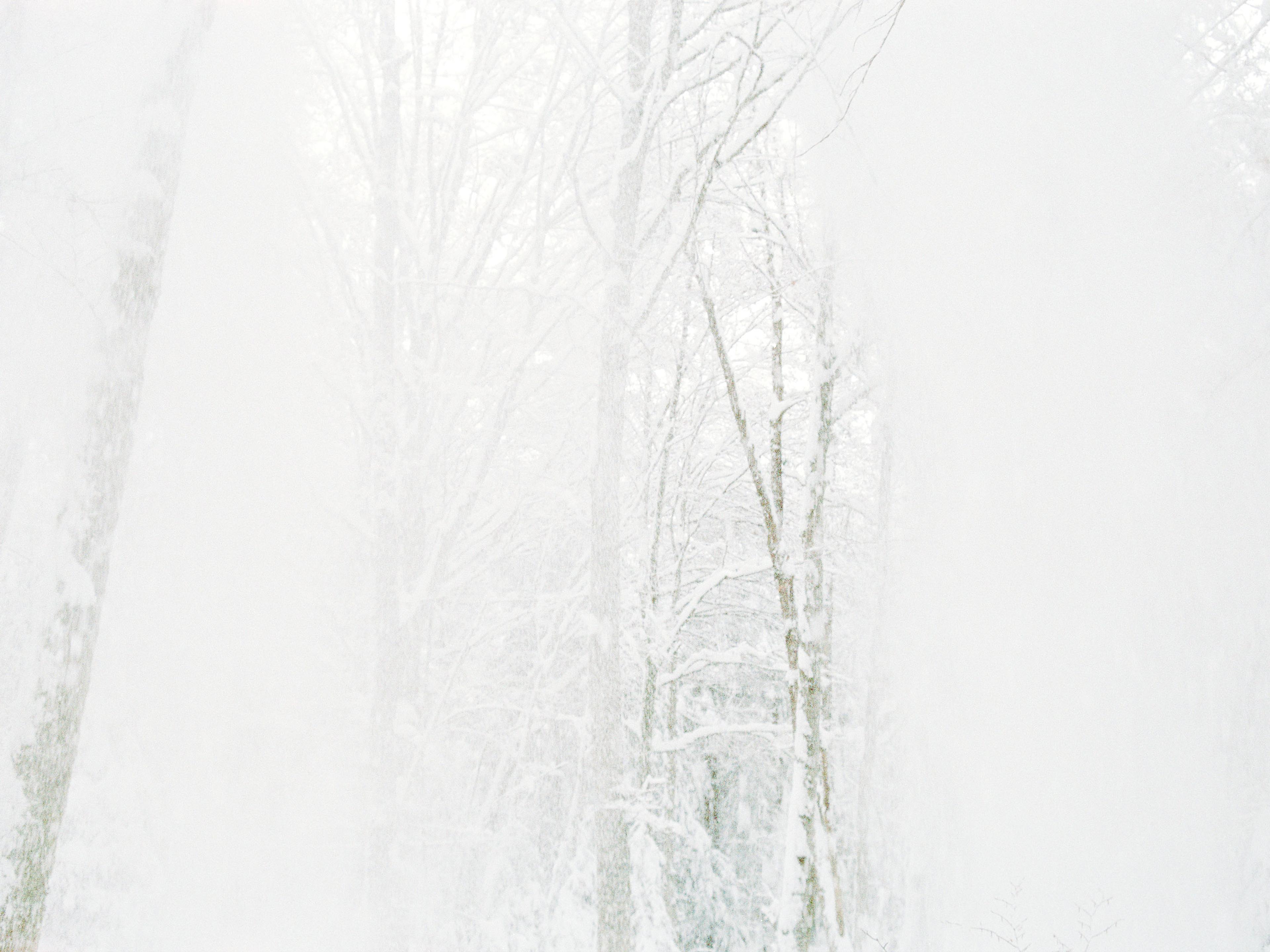 Anne-Sophie Soudoplatoff