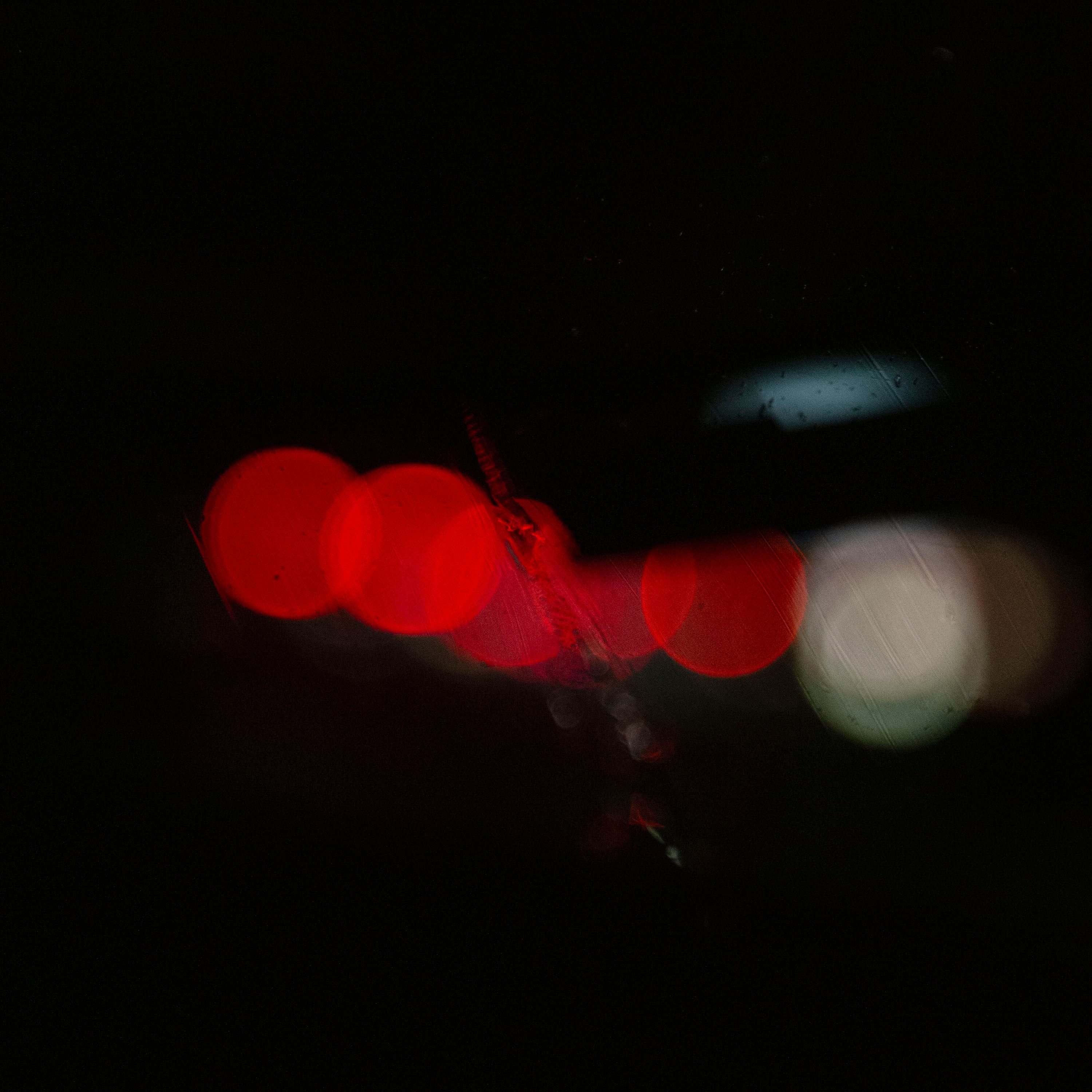 Anne-Sophie Soudoplatoff